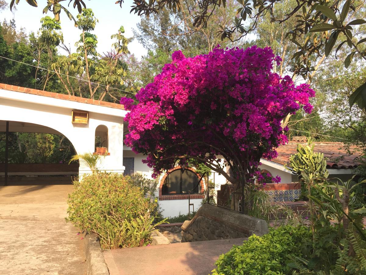 Villas Bellavista 库埃纳瓦卡 外观 照片
