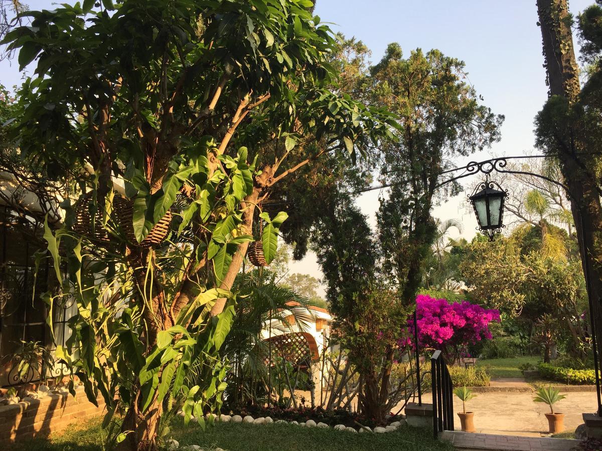 Villas Bellavista 库埃纳瓦卡 外观 照片
